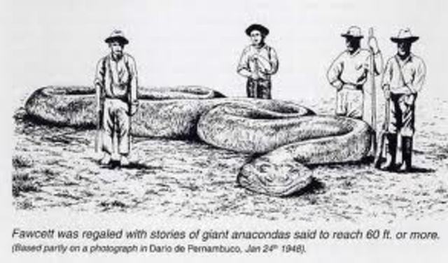 62 foot anaconda
