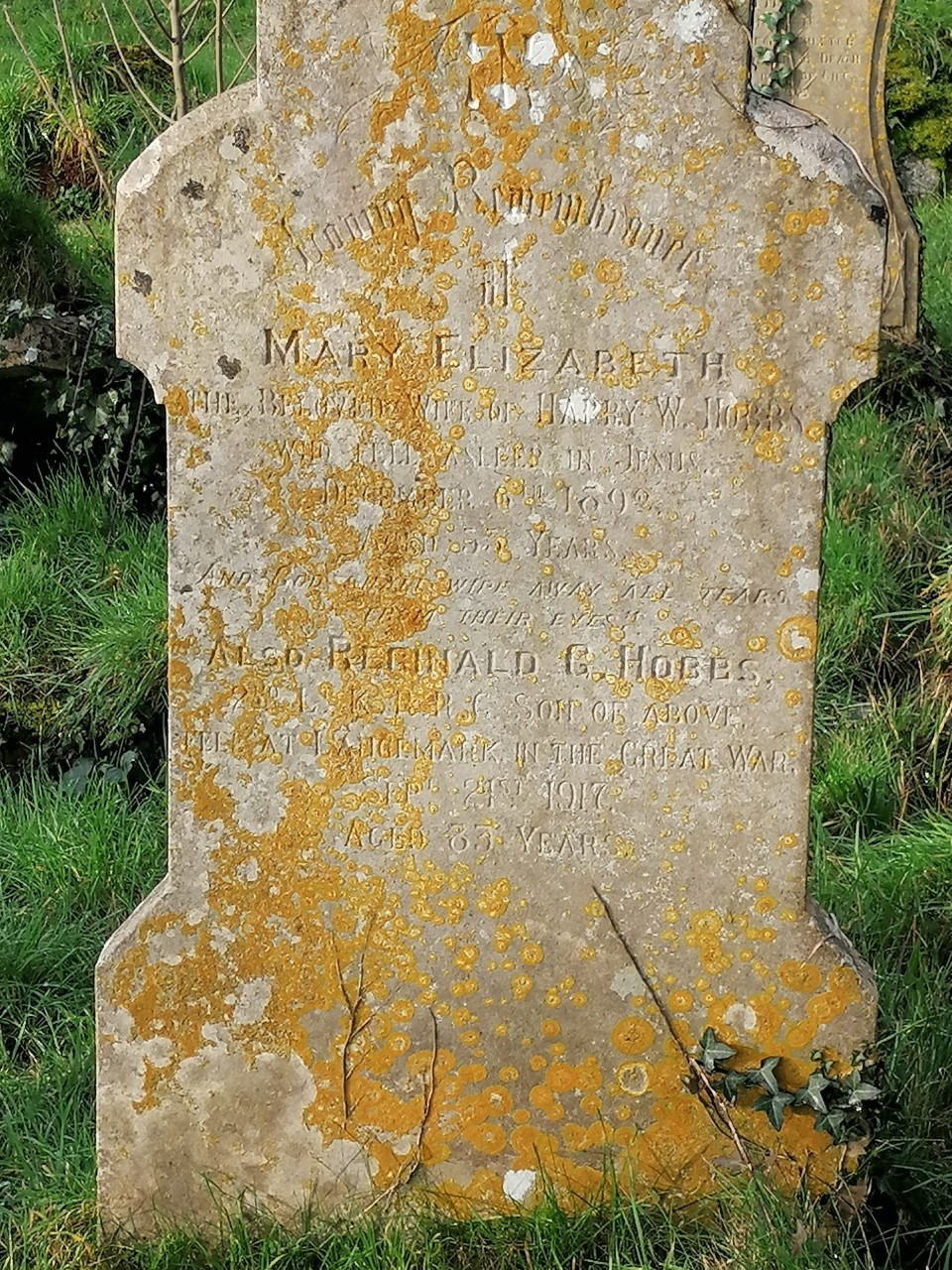 Fell at Langemark, in the Great war, September 21st 1917, Aged 33 years