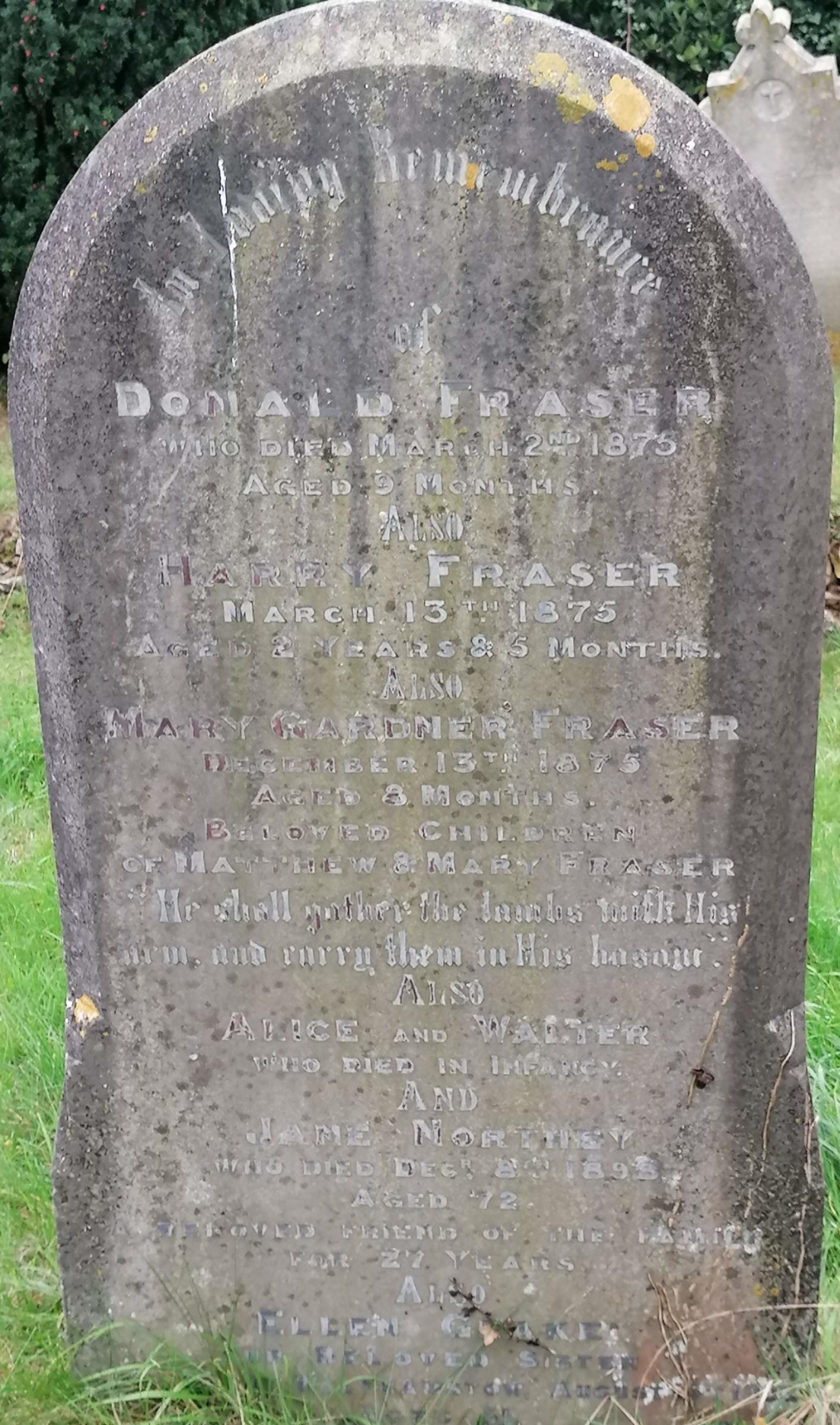 Kate's brothers and sisters who died before she was born